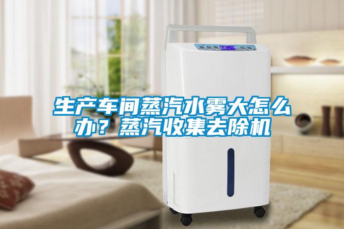 生產車間蒸汽水霧大怎么辦？蒸汽收集去除機