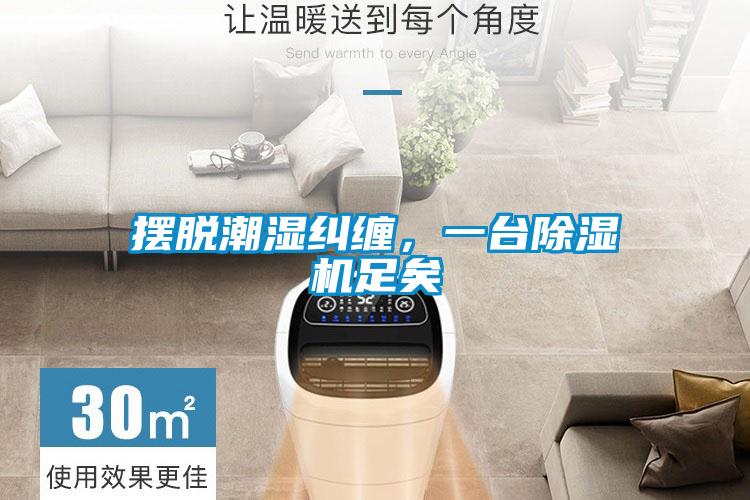 擺脫潮濕糾纏，一臺除濕機足矣