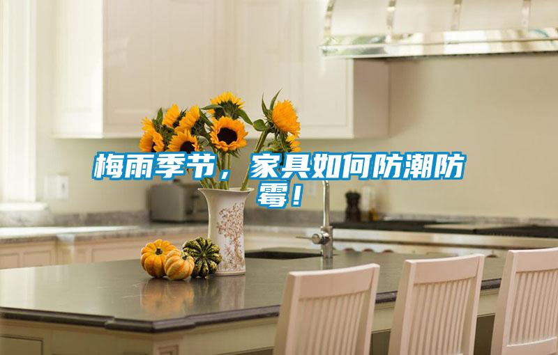 梅雨季節(jié)，家具如何防潮防霉！