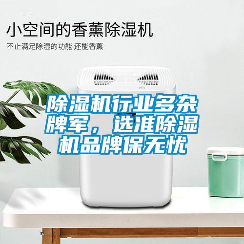 除濕機(jī)行業(yè)多雜牌軍，選準(zhǔn)除濕機(jī)品牌保無憂