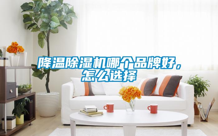 降溫除濕機(jī)哪個(gè)品牌好，怎么選擇