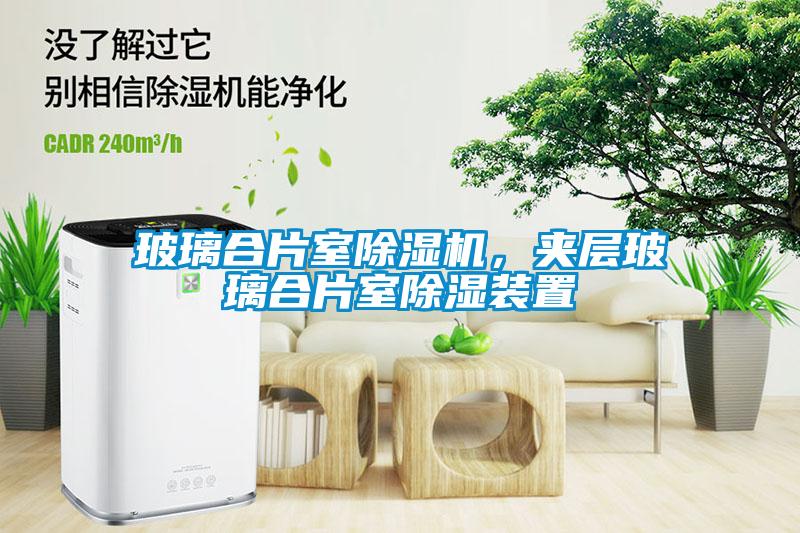 玻璃合片室除濕機(jī)，夾層玻璃合片室除濕裝置