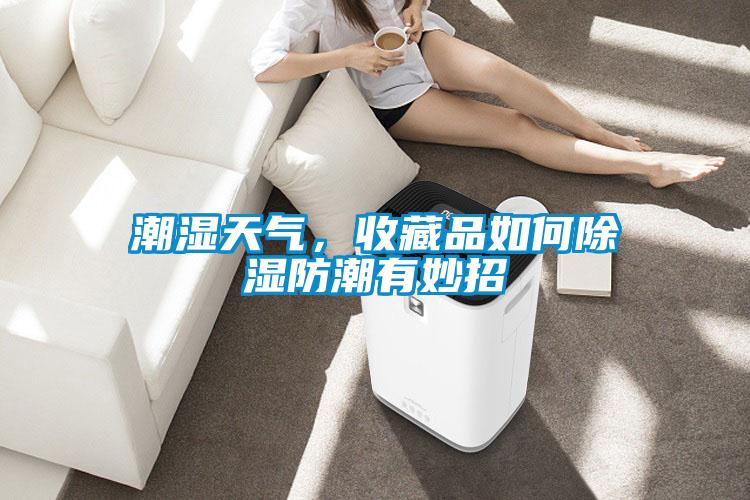 潮濕天氣，收藏品如何除濕防潮有妙招