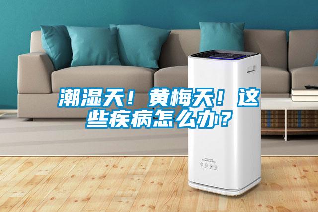 潮濕天！黃梅天！這些疾病怎么辦？