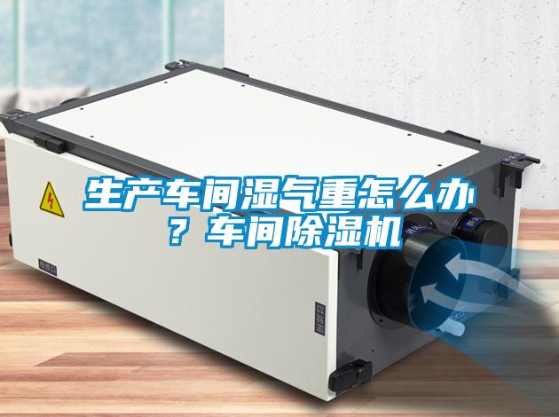 生產(chǎn)車間濕氣重怎么辦？車間除濕機(jī)