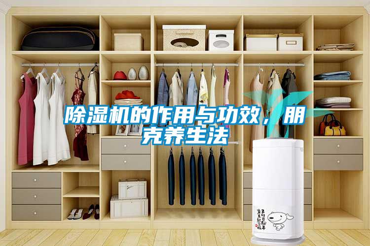 除濕機(jī)的作用與功效，朋克養(yǎng)生法