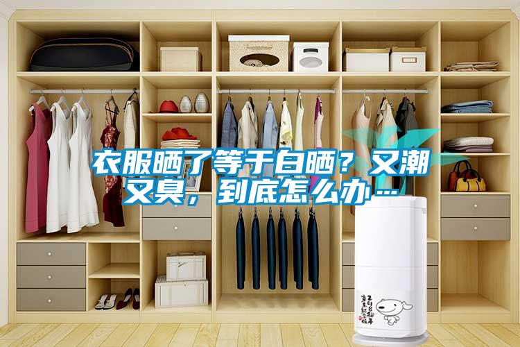 衣服曬了等于白曬？又潮又臭，到底怎么辦…