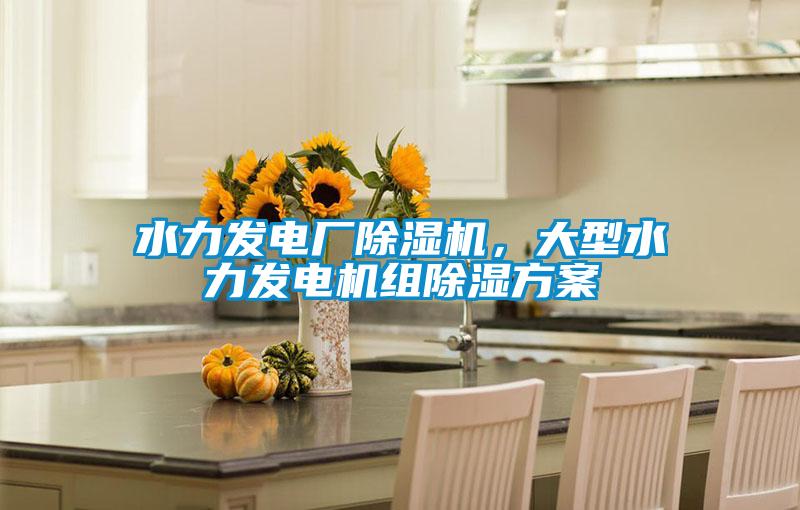 水力發(fā)電廠除濕機，大型水力發(fā)電機組除濕方案
