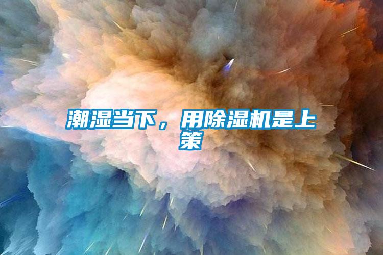 潮濕當下，用除濕機是上策