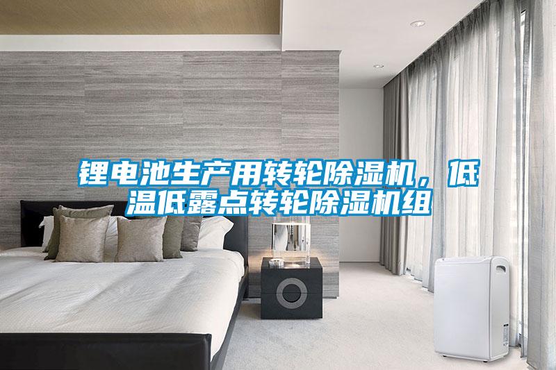 鋰電池生產(chǎn)用轉(zhuǎn)輪除濕機(jī)，低溫低露點(diǎn)轉(zhuǎn)輪除濕機(jī)組