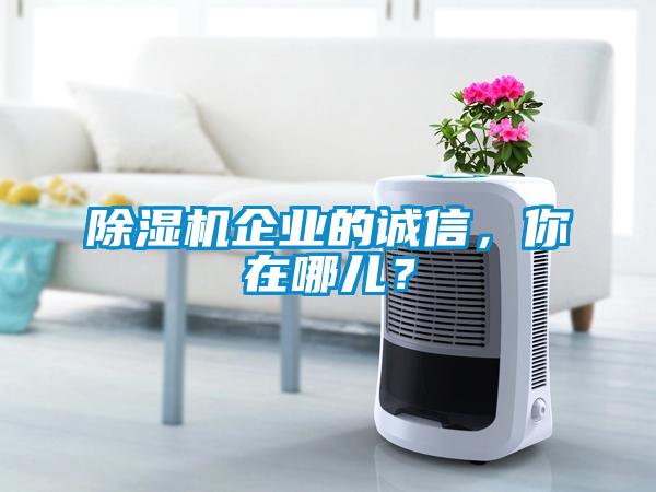 除濕機(jī)企業(yè)的誠(chéng)信，你在哪兒？