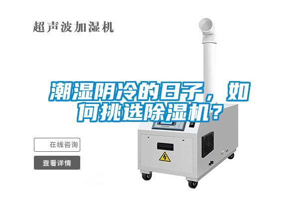 潮濕陰冷的日子，如何挑選除濕機(jī)？