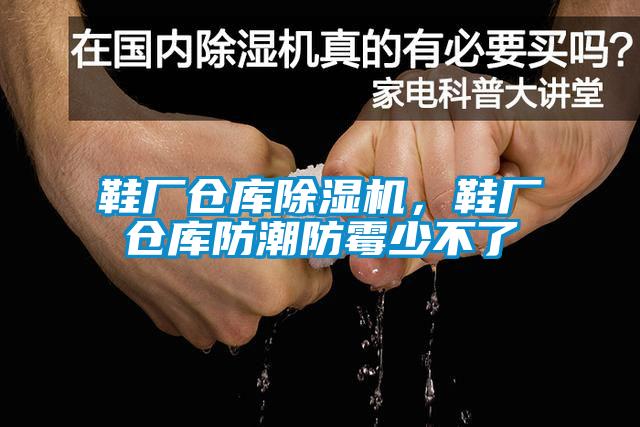 鞋廠倉(cāng)庫(kù)除濕機(jī)，鞋廠倉(cāng)庫(kù)防潮防霉少不了