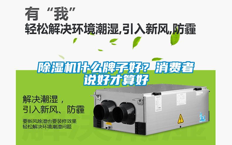 除濕機(jī)什么牌子好？消費(fèi)者說好才算好