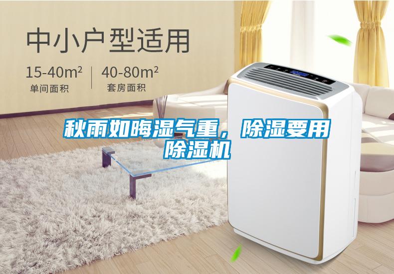 秋雨如晦濕氣重，除濕要用除濕機(jī)