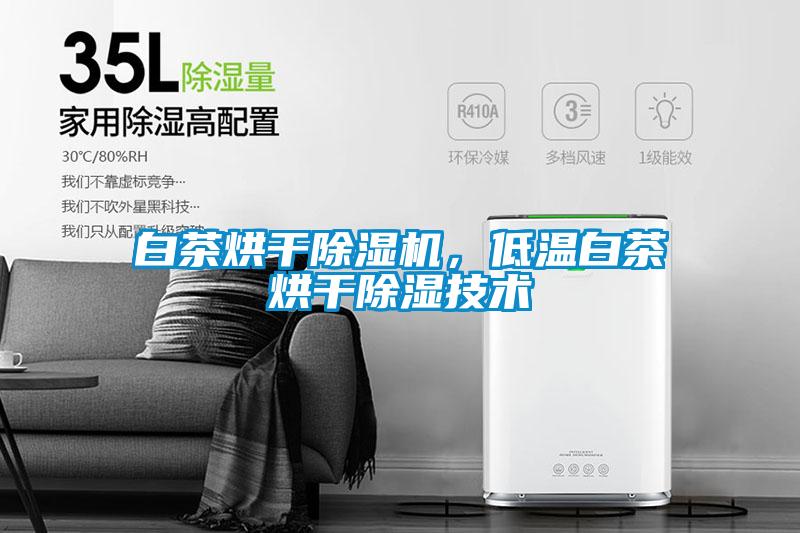 白茶烘干除濕機，低溫白茶烘干除濕技術(shù)