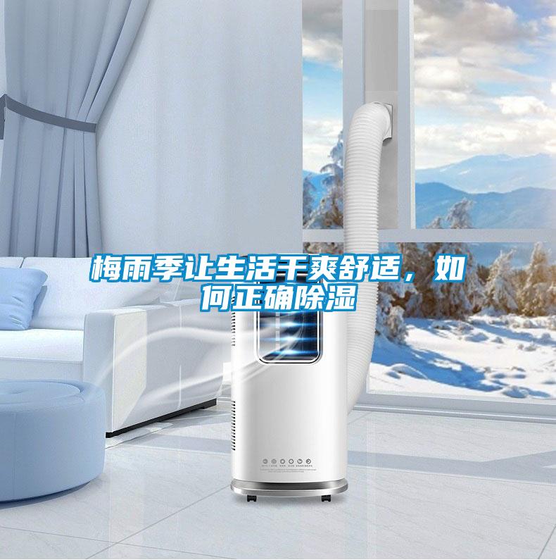 梅雨季讓生活干爽舒適，如何正確除濕