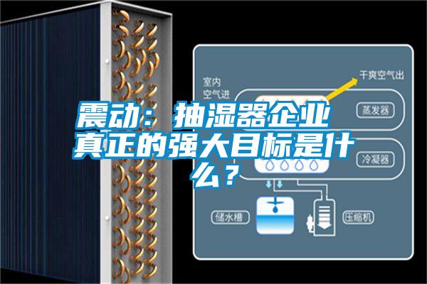 震動(dòng)：抽濕器企業(yè) 真正的強(qiáng)大目標(biāo)是什么？