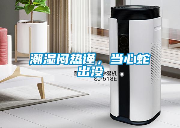 潮濕悶熱謹(jǐn)，當(dāng)心蛇出沒