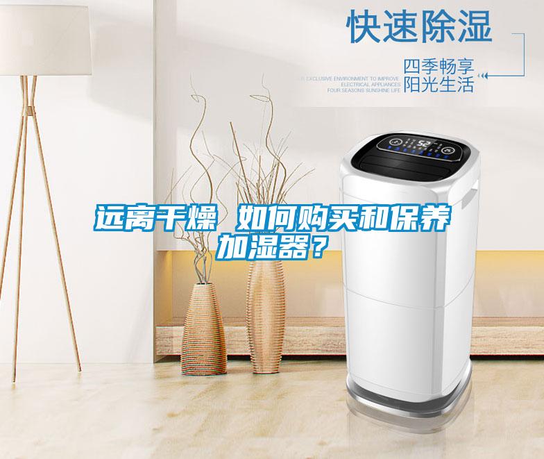 遠(yuǎn)離干燥 如何購買和保養(yǎng)加濕器？