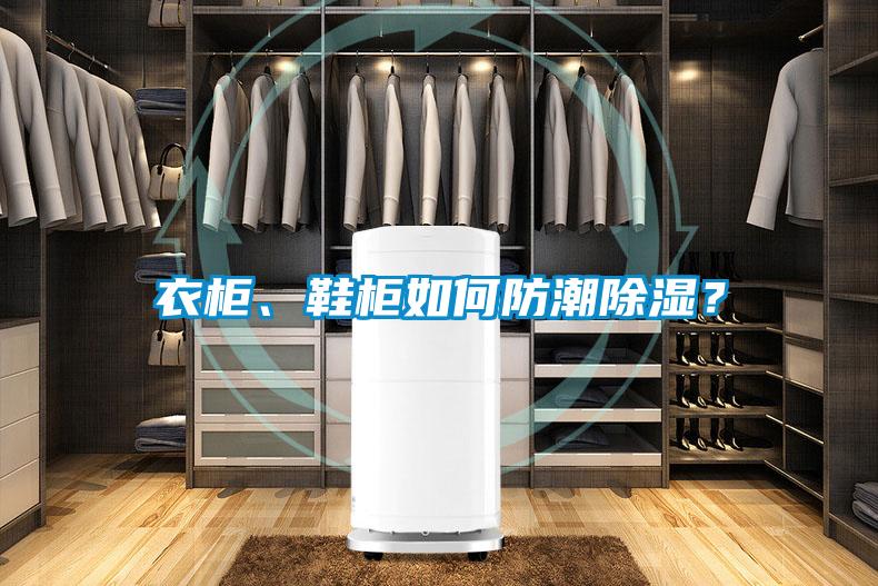 衣柜、鞋柜如何防潮除濕？