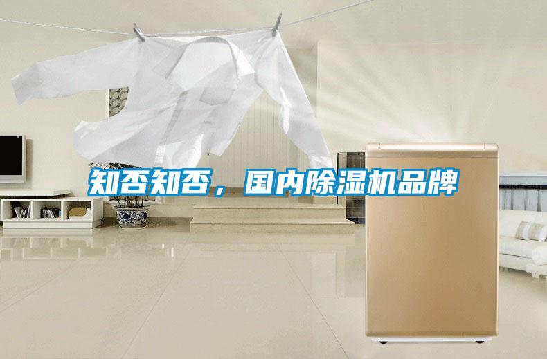 知否知否，國內(nèi)除濕機(jī)品牌