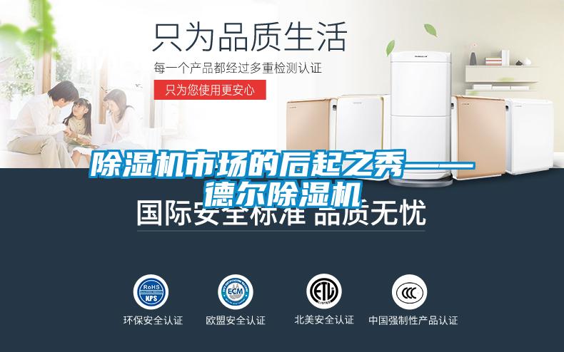 除濕機(jī)市場(chǎng)的后起之秀——德?tīng)柍凉駲C(jī)