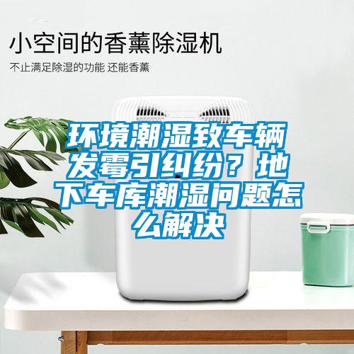 環(huán)境潮濕致車輛發(fā)霉引糾紛？地下車庫(kù)潮濕問(wèn)題怎么解決