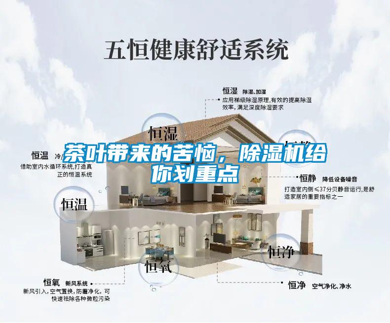 茶葉帶來的苦惱，除濕機給你劃重點