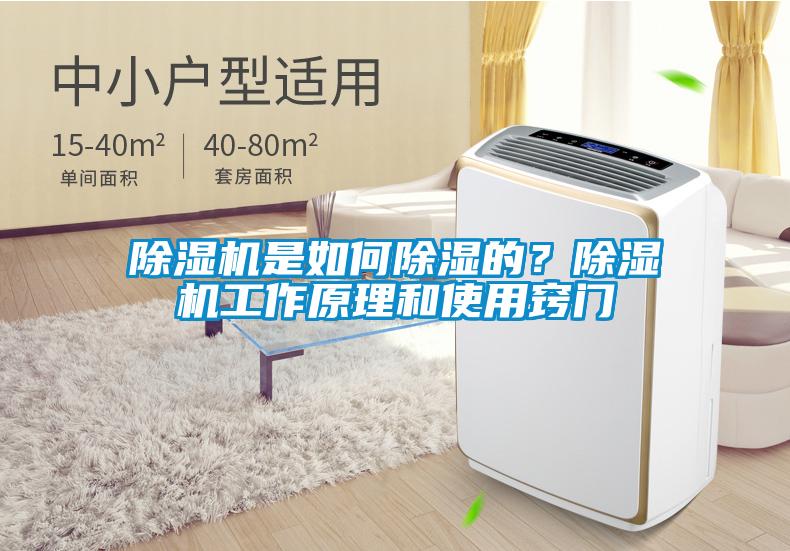除濕機(jī)是如何除濕的？除濕機(jī)工作原理和使用竅門