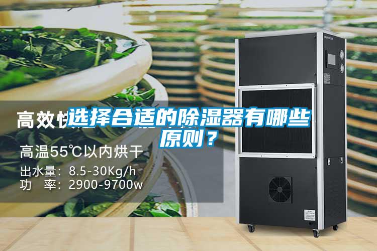 選擇合適的除濕器有哪些原則？