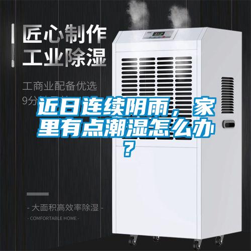 近日連續(xù)陰雨，家里有點(diǎn)潮濕怎么辦？