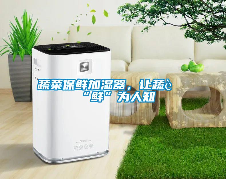 蔬菜保鮮加濕器，讓蔬菜“鮮”為人知