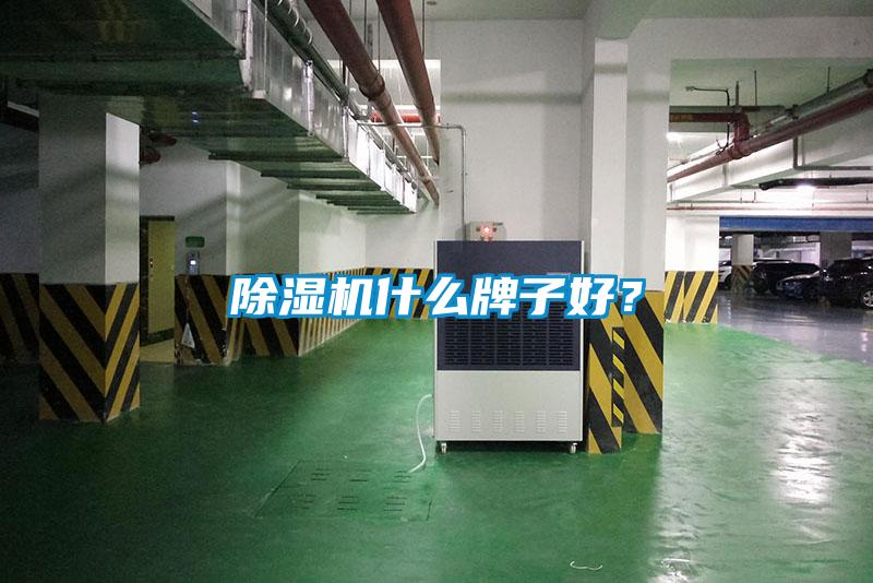 除濕機(jī)什么牌子好？