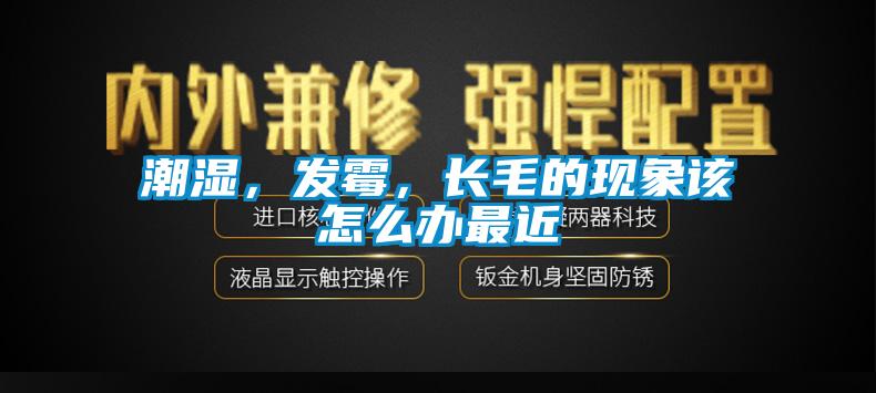 潮濕，發(fā)霉，長毛的現(xiàn)象該怎么辦最近