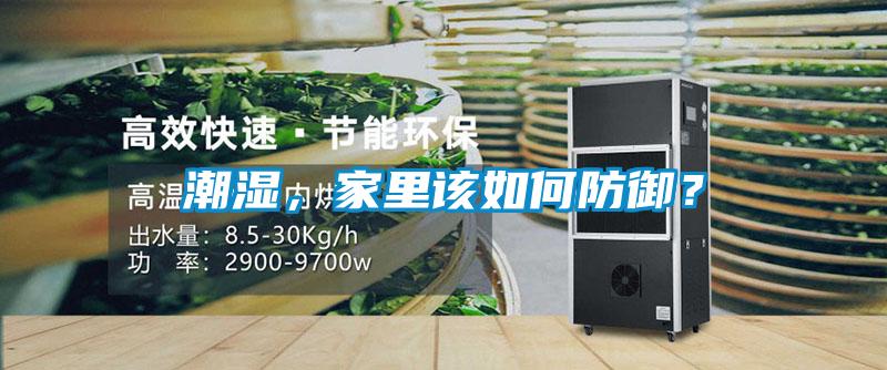潮濕，家里該如何防御？