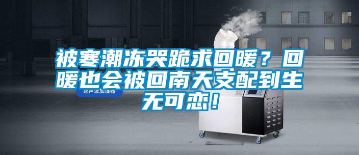 被寒潮凍哭跪求回暖？回暖也會(huì)被回南天支配到生無(wú)可戀！