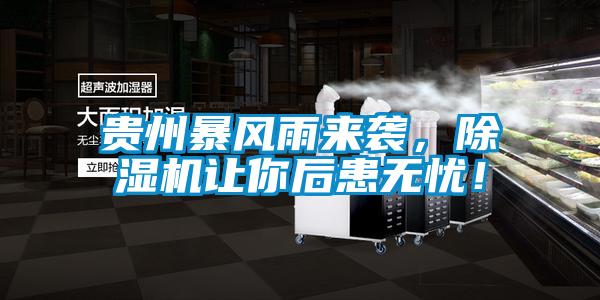貴州暴風(fēng)雨來襲，除濕機(jī)讓你后患無憂！