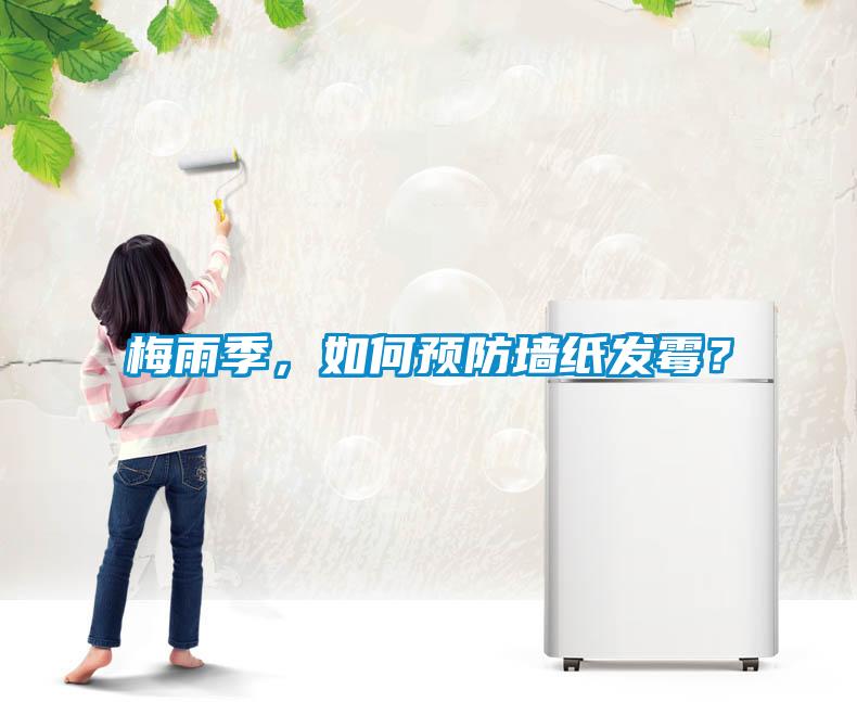 梅雨季，如何預(yù)防墻紙發(fā)霉？