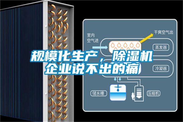 規(guī)模化生產(chǎn)，除濕機企業(yè)說不出的痛