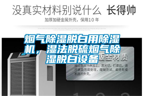 煙氣除濕脫白用除濕機，濕法脫硫煙氣除濕脫白設(shè)備
