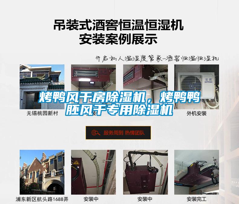 烤鴨風(fēng)干房除濕機，烤鴨鴨胚風(fēng)干專用除濕機