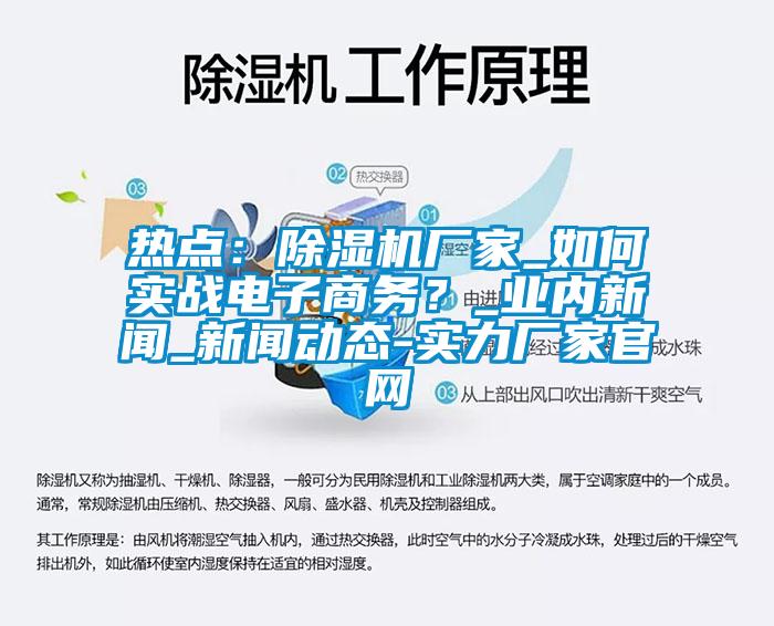 熱點：除濕機廠家_如何實戰(zhàn)電子商務？_業(yè)內(nèi)新聞_新聞動態(tài)-實力廠家官網(wǎng)