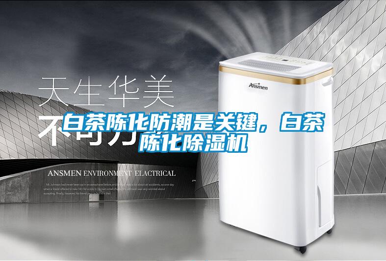 白茶陳化防潮是關(guān)鍵，白茶陳化除濕機