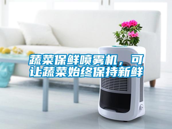 蔬菜保鮮噴霧機，可讓蔬菜始終保持新鮮