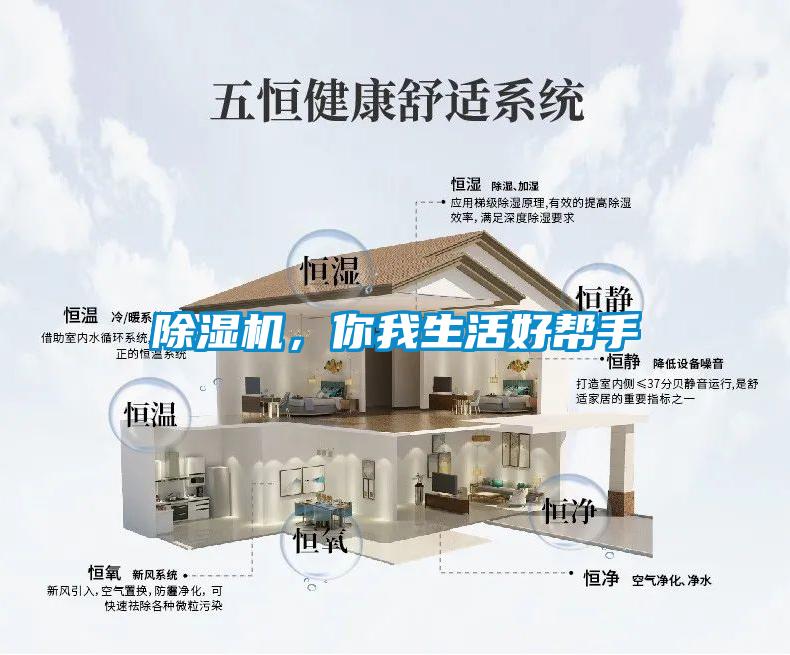 除濕機，你我生活好幫手