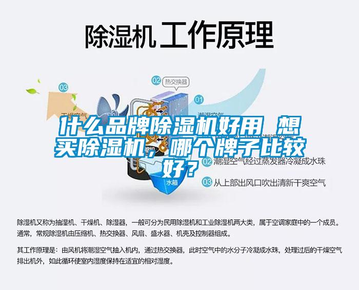 什么品牌除濕機(jī)好用 想買除濕機(jī)，哪個(gè)牌子比較好？