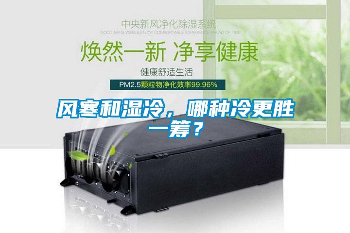 風(fēng)寒和濕冷，哪種冷更勝一籌？