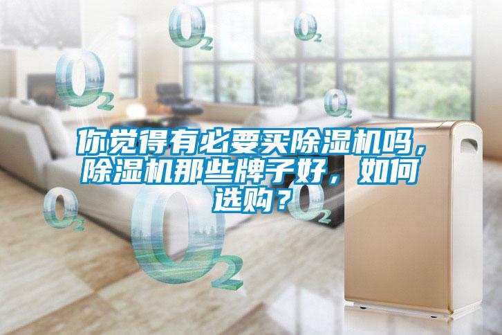 你覺得有必要買除濕機(jī)嗎，除濕機(jī)那些牌子好，如何選購？
