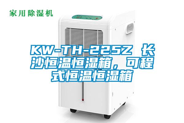 KW-TH-225Z 長(zhǎng)沙恒溫恒濕箱，可程式恒溫恒濕箱